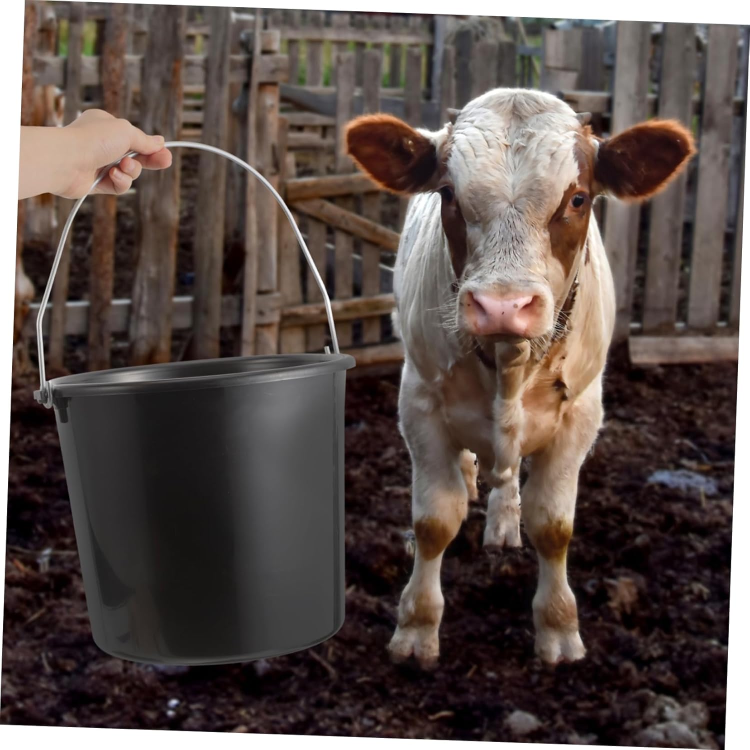 YARNOW Portable Calf Feed Bucket with Handle Large Capacity Plastic Water Container for Livestock Feeding and Watering Multi-Purpose Use for Farm Home and Kitchen