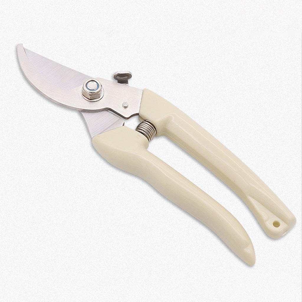 Cesoie per potatura, Cesoie per potatura a Mano, Cesoie per Rami di Frutta, Cesoie per Rami Spessi, Cesoie per invasatura, Manico in Gomma Antiscivolo (A 175 * 45 * 2,5 mm)