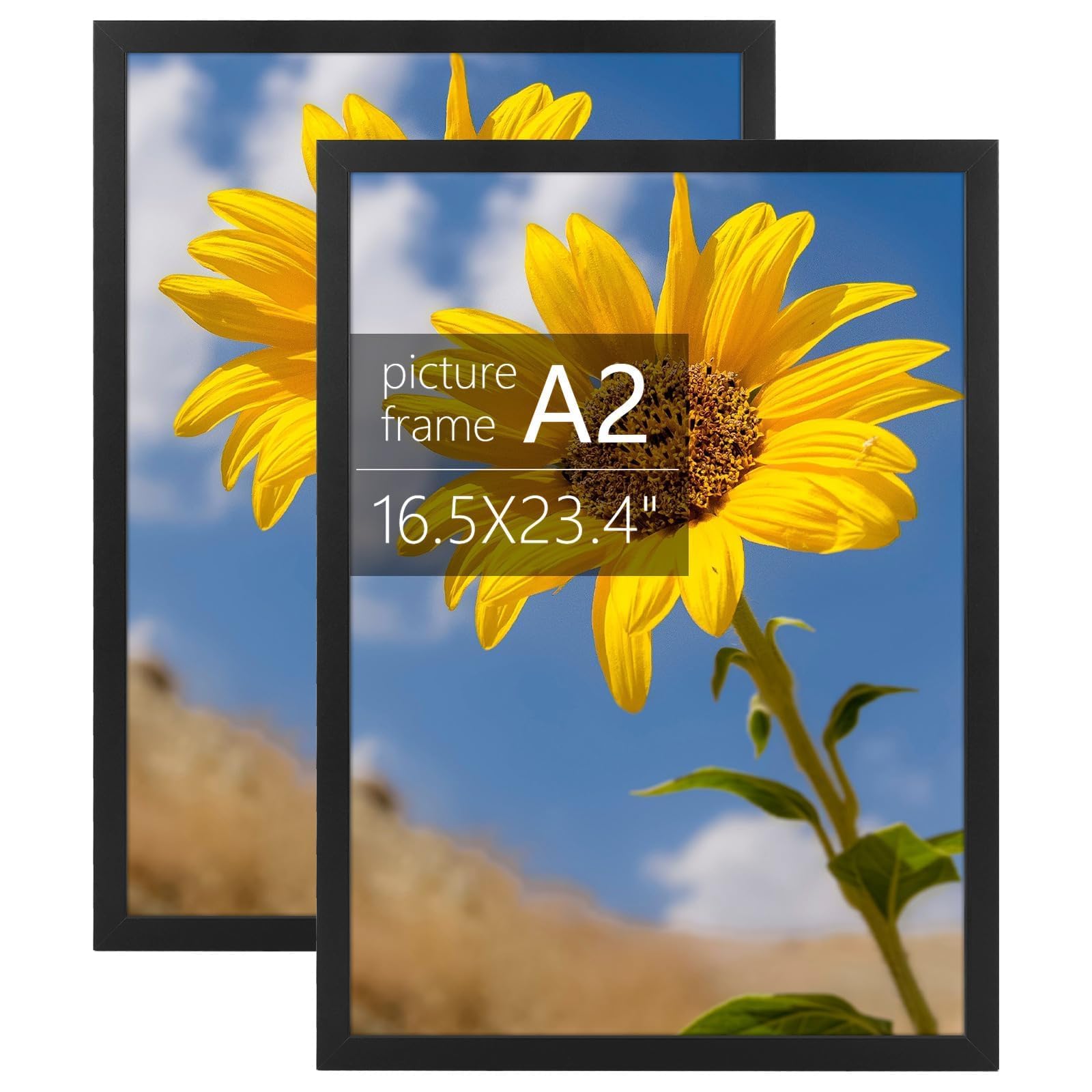 Golden State Art, A2 Frame with Plexiglass, Engineered Wood 16.5 x 23.4 inch Large Poster Frame - Horizontal and Vertical Display for Wall - Set of 2