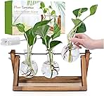 Plant Propagation Station, Plant Terrarium with Wooden Stand, Unique Gardening Birthday Gifts for Women Plants Lovers, Home Office Garden Decor Planter - 3 Bulb Glass Vases