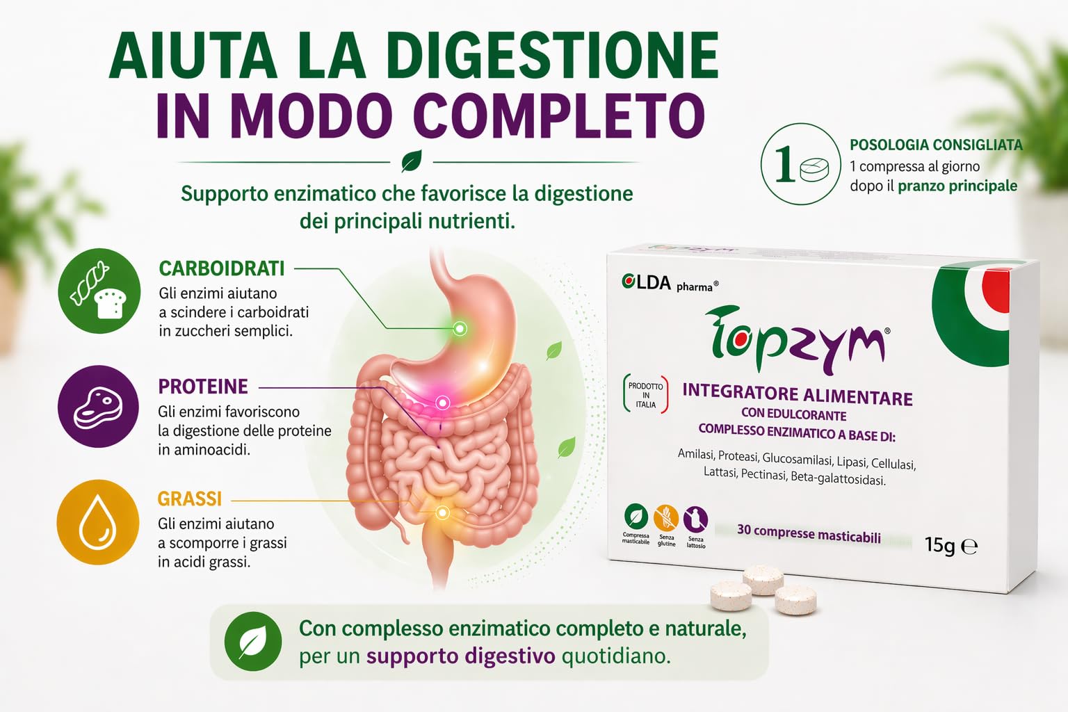 Topzym Enzimi Digestivi Completi – Integratore Digestivo Naturale per tutti i giorni - contro il Gonfiore Addominale - Digestione Rapida e Leggera - Kit 2 Confezioni