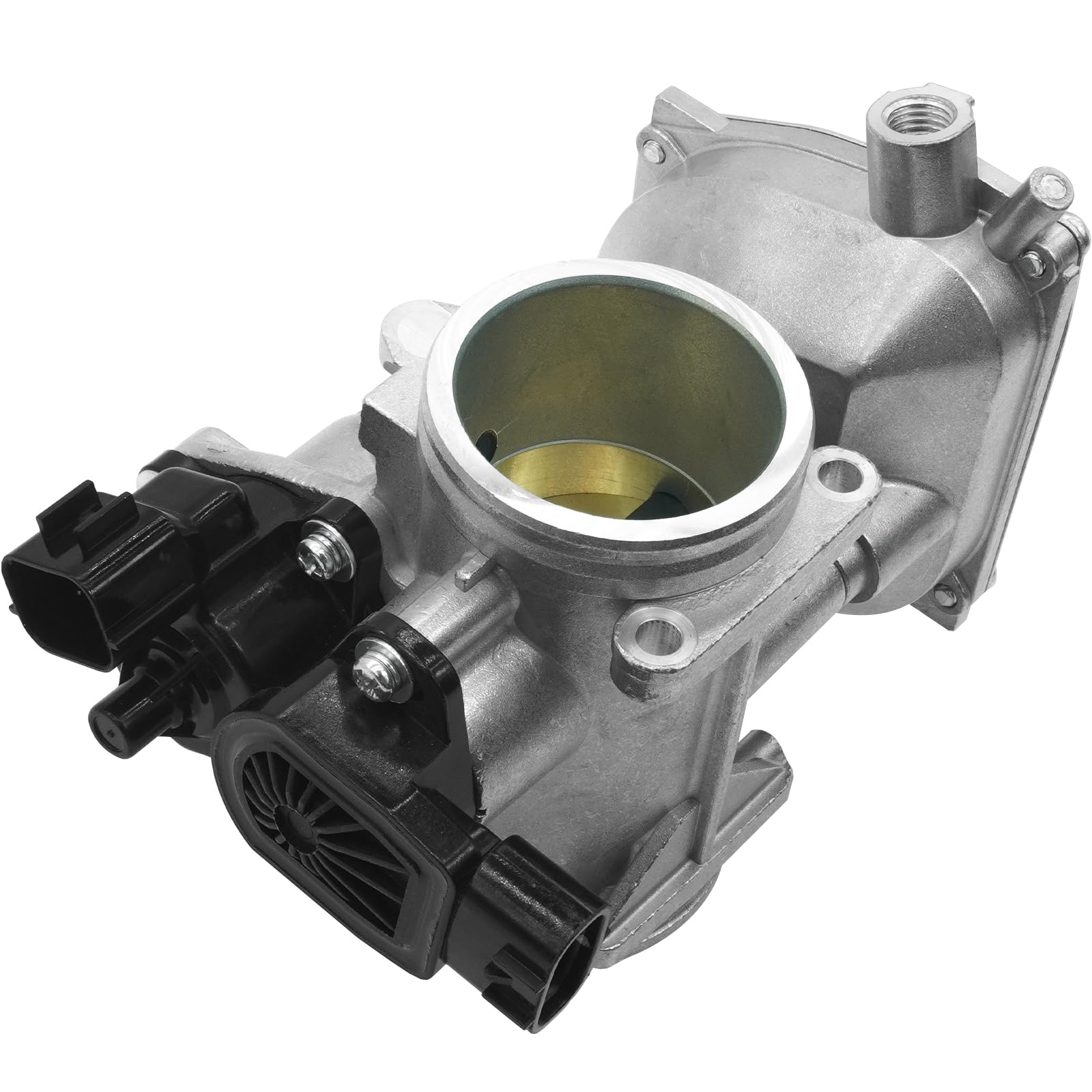 Amazon.com: OEKITS 1204195 Throttle Body Assembly for Polaris
