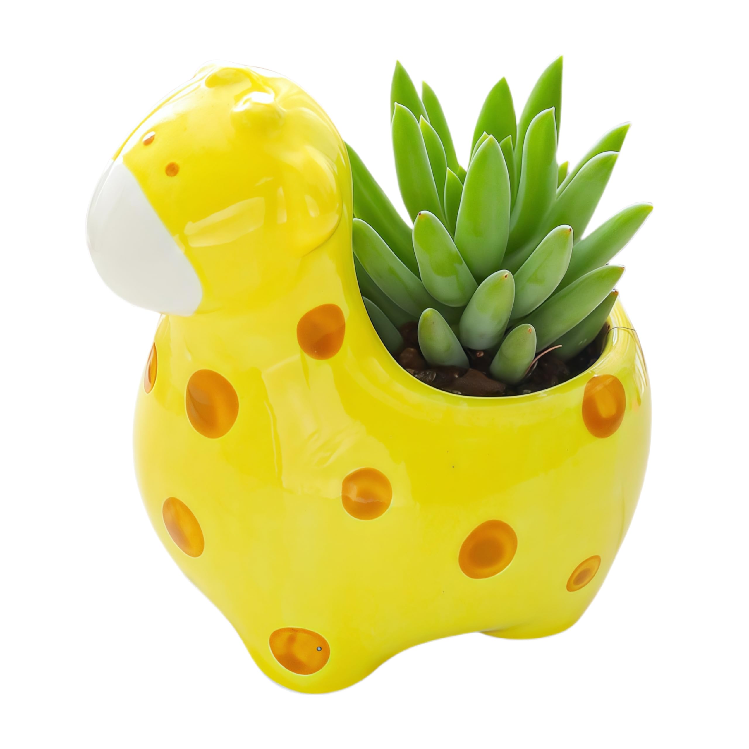 Cuteforyou Succulent Pots,Cute Animal Shaped Air Plant Holder Flower Planters-Plants Not in Included (Yellow Giraffe)