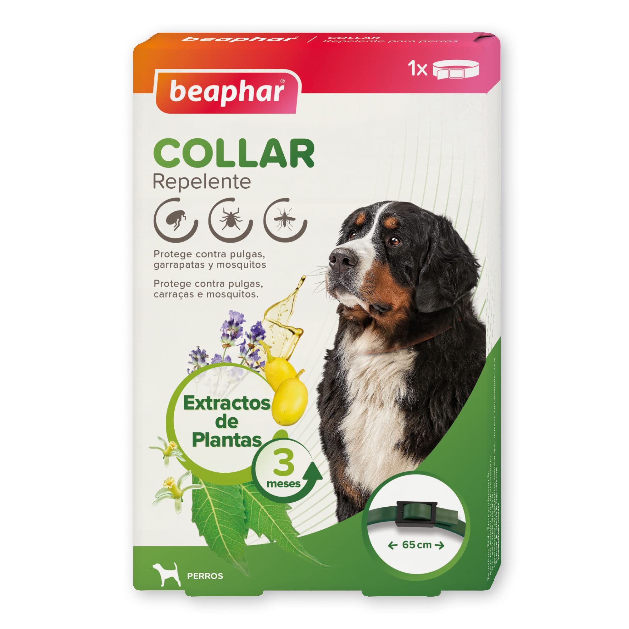 Beaphar Collar Repelente Natural para Perros - 3 Meses de protección Natural contra garrapatas, pulgas y Mosquitos - para Todo Tipo de Perros 65CM
