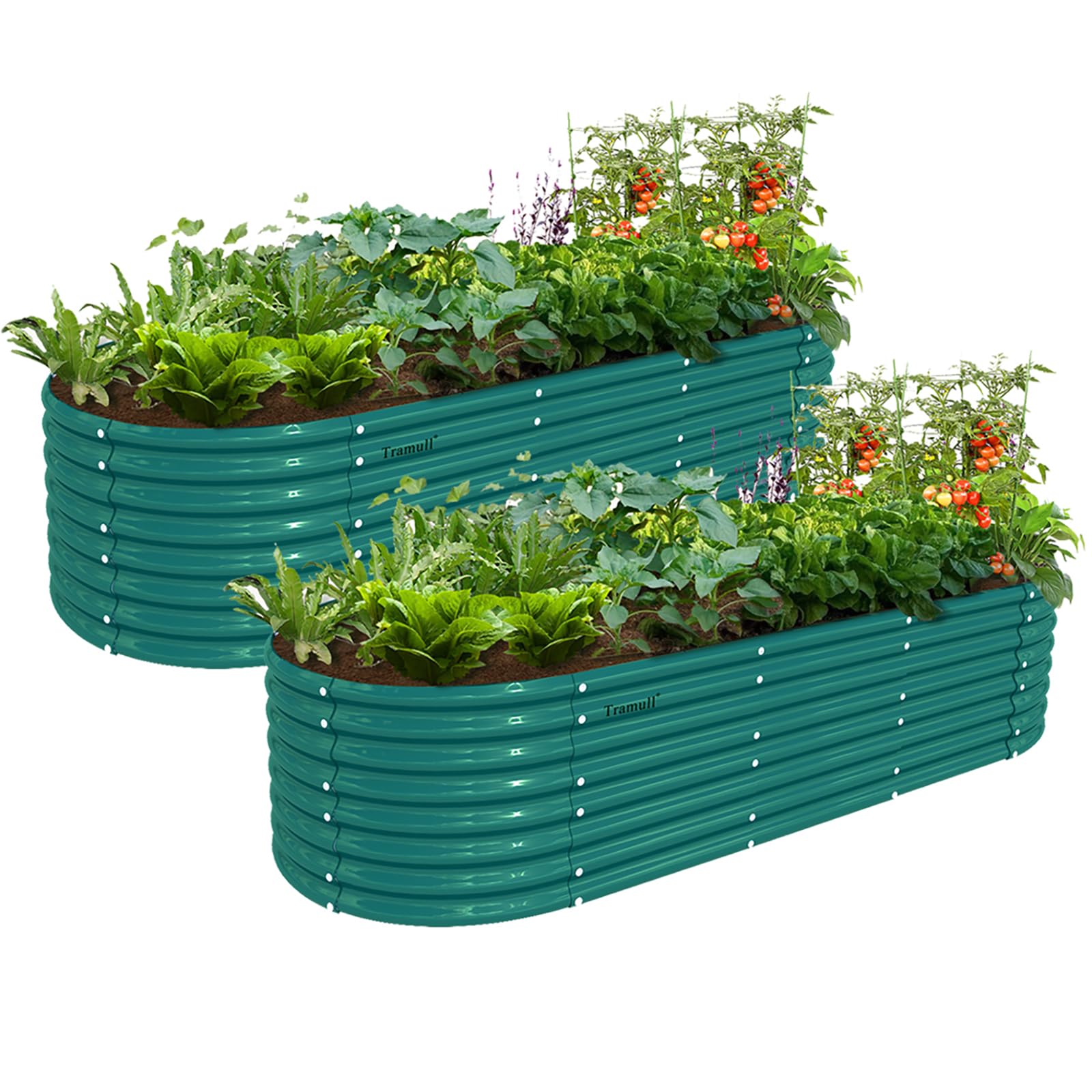 Amazon.com: Tramull 2 Pack 8x3x2FT Galvanized Raised Garden Bed