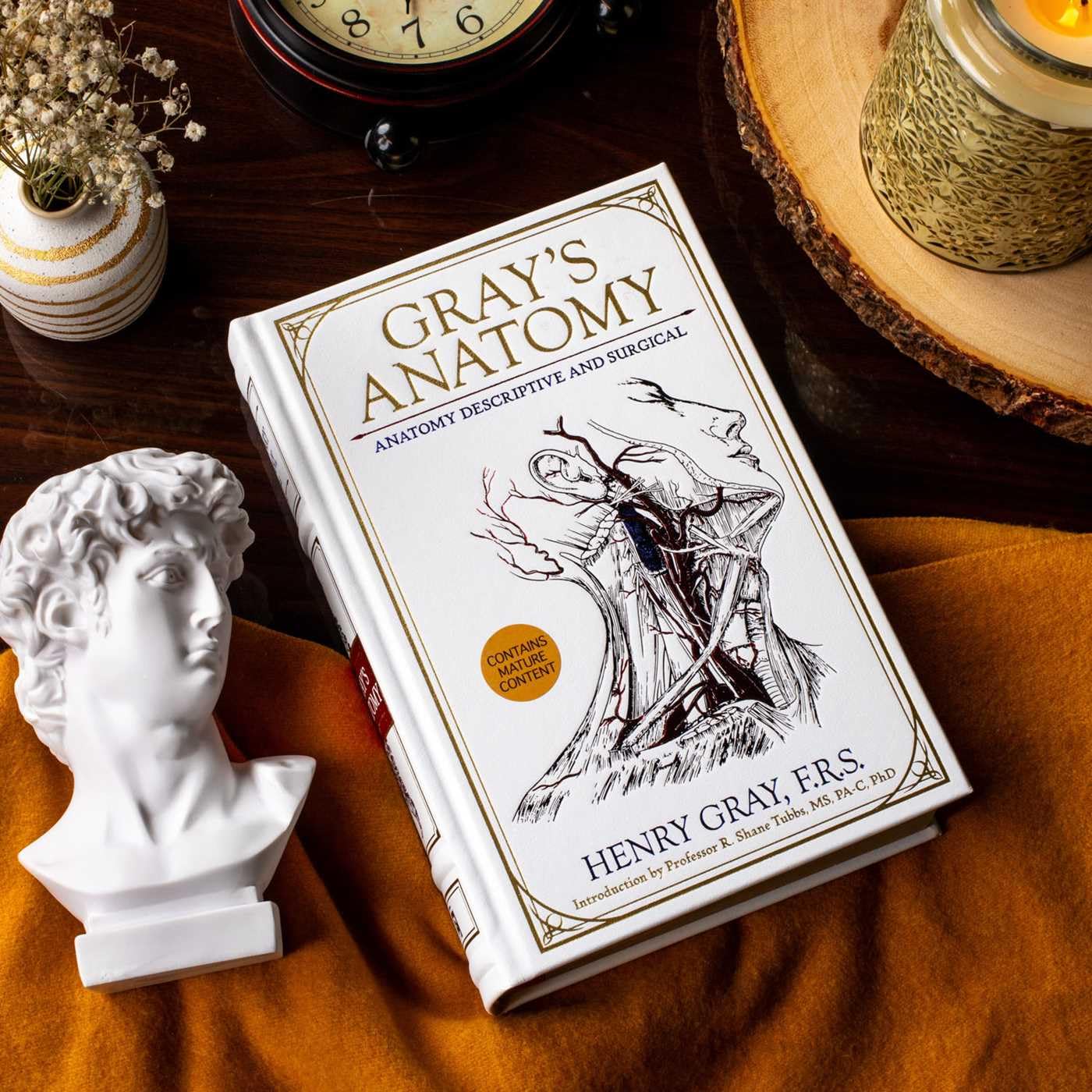 Gray's Anatomy: Anatomy Descriptive and Surgical