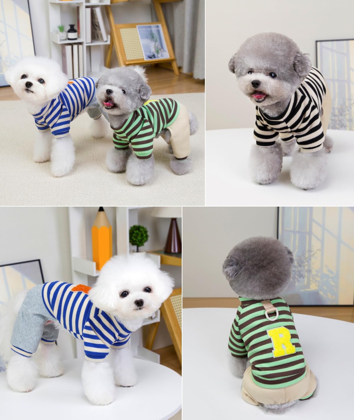 XHYRHTS Combinaison tricotée rayée pour Chien de Petite Taille, Tenue Chaude et Extensible pour Chiot avec Anneau en D et Lettre, Pull Doux à Quatre Pattes, Pyjama Confortable d'automne pour