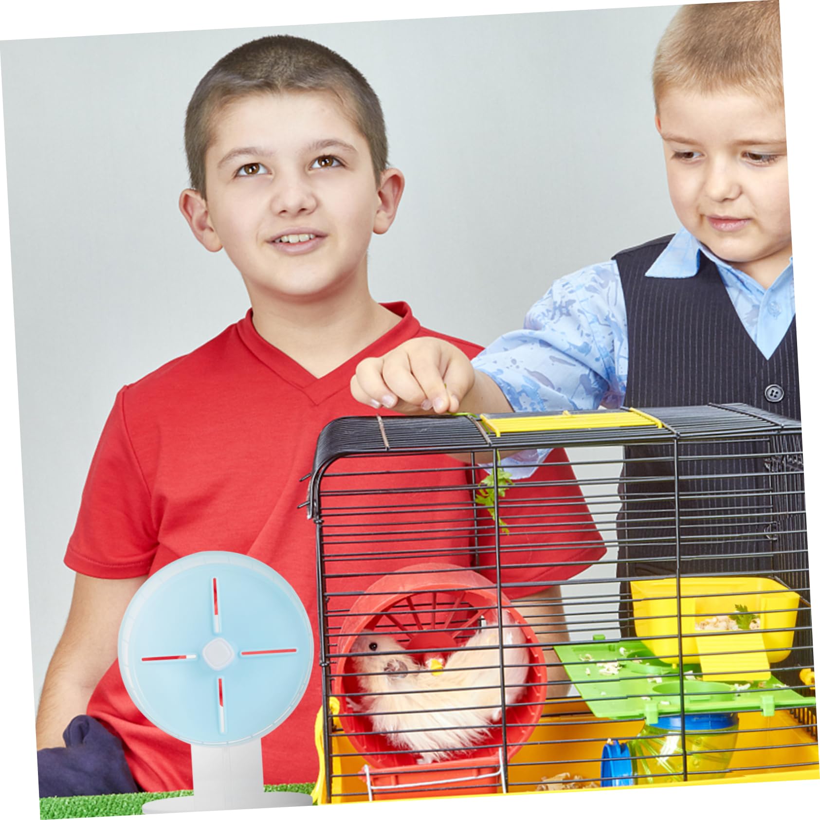 Beavorty 1pièce Roulette De Course Silencieuse pour Hamster avec Base Jouet Sportif pour Petits Animaux
