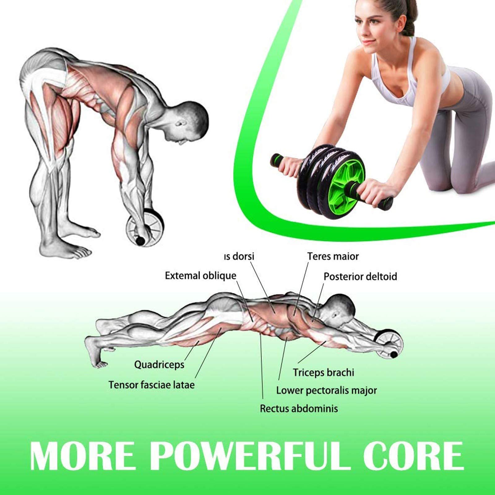 Rullo Addome Ab Roller Doppia Ruota | FXR Sports, Fitness Muscoli Addominali, Nuovo