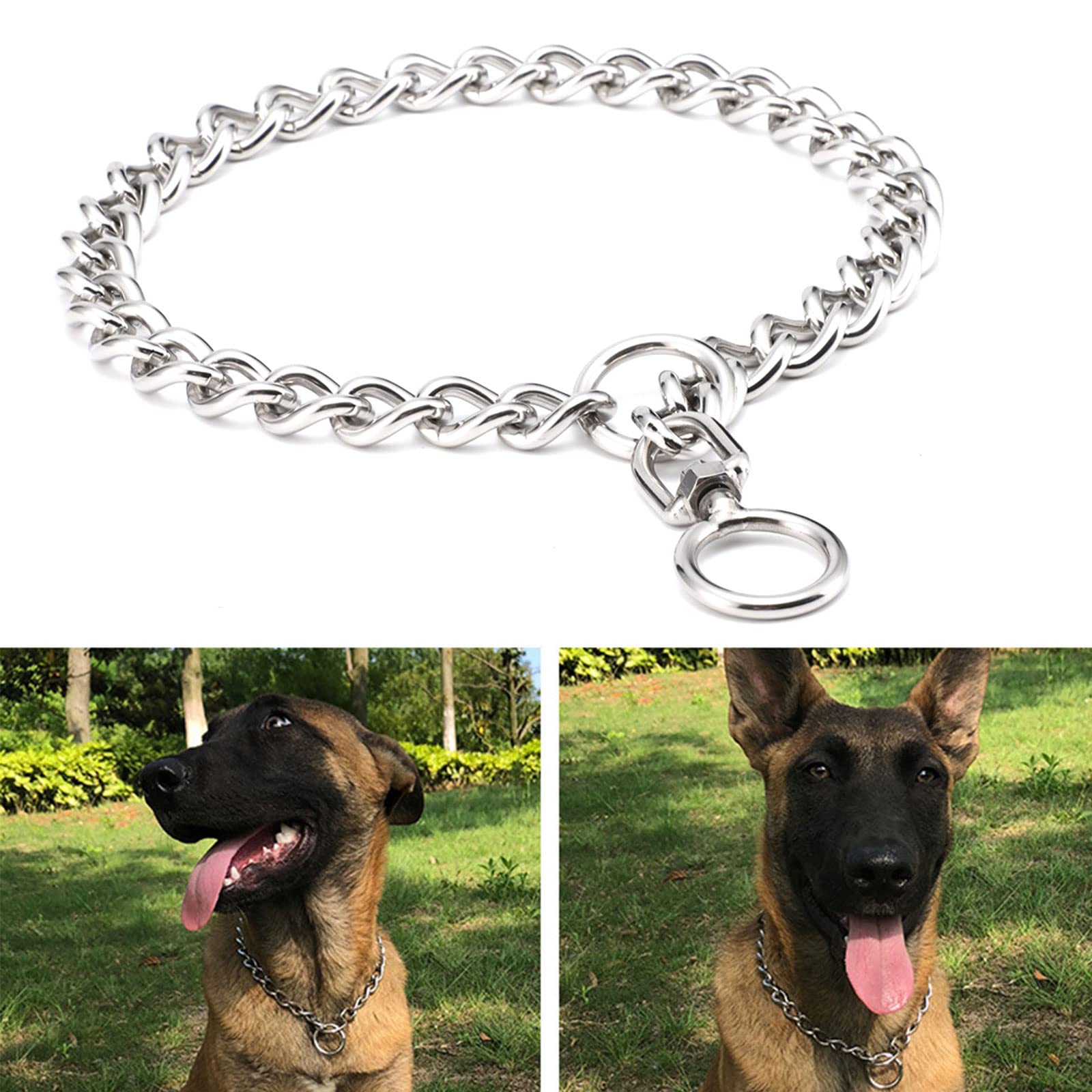 Amazon | aoory 犬用首輪,しつけ用首輪,ベーシック首輪,小中大型犬用