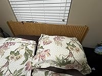 Review Image by Roxy