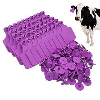 4.1 L3.5W Livestock Ear Tags Big Blank 100PCS Identification TPU Precision Tags for Cattle Cows Pigs Hog Goats Sheep Calf Animal Purple
