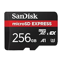 SanDisk Scheda microSD Express da 256 GB, Funziona con Nintendo Switch 2 (Velocità)