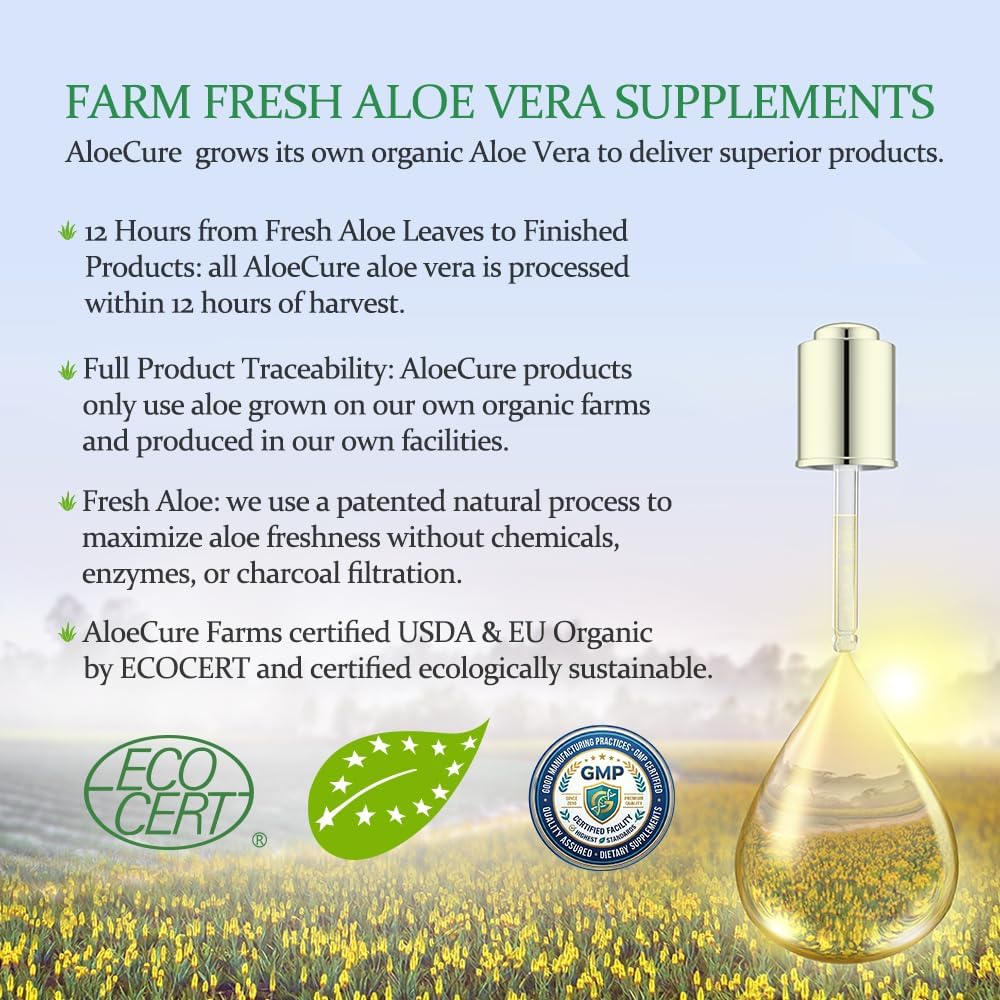 Aloe Vera Capsules for Gut Health & Digestive Comfort 60ct x 12btl | Vegan, non-GMO inner leaf extract, made with organic aloe vera. Aloin Free stomach acid buffer that supports Digestive Health