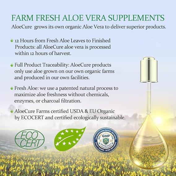 AloeCure Aloe Vera Capsules, Made with Organic Aloe Vera to Gently Support Gut Health & Digestive Comfort, Stomach Acid Buffer, Natural Immune Supplement, Aloin Free, 30 Capsules x 6-Bottles