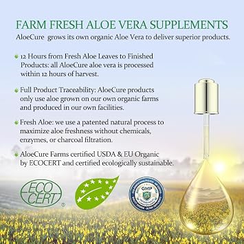 AloeCure Aloe Vera Capsules, Made with Organic Aloe Vera to Gently Support Gut Health & Digestive Comfort, Stomach Acid Buffer, Natural Immune Supplement, Aloin Free, 30 Capsules x 6-Bottles
