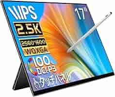 モニター 17インチ EWEI RQ-170PW タッチパネル対応 17インチ タッチペン対応 2560x1600 144Hz RQG-170PW