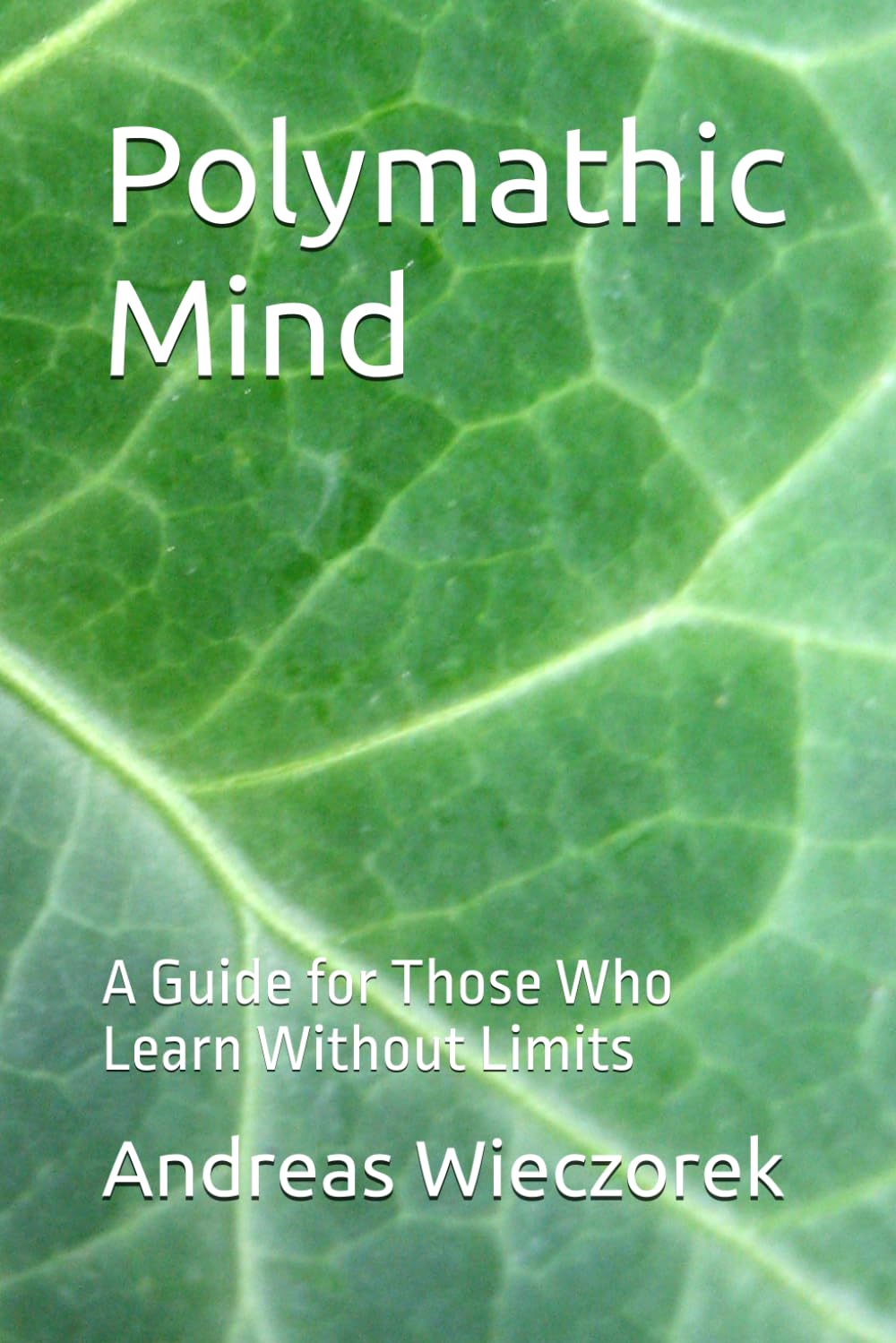 Polymathic Mind: A Guide for Those Who Learn Without Limits