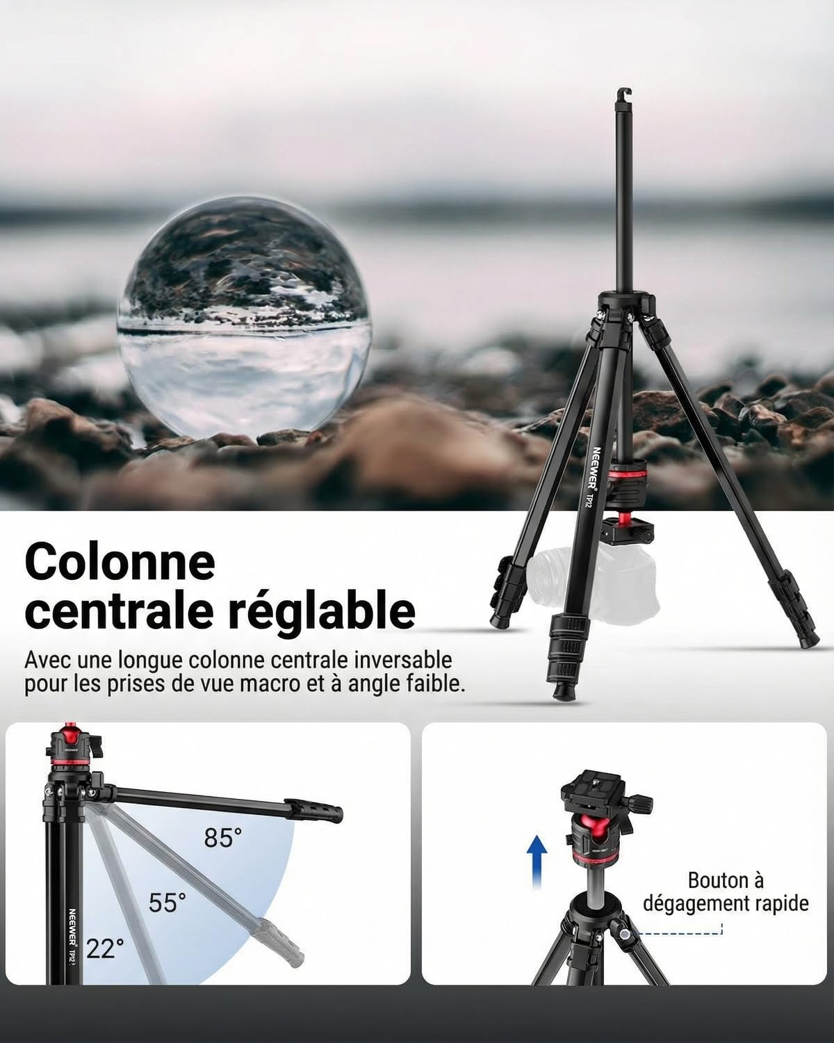 NEEWER Basics 66.5"/169cm Trépied Voyage pour Appareil Photo, Support léger et Portable pour Reflex numérique avec rotule, Plaque QR Arca, Support pour téléphone Portable, Charge maximale 11 LB, TP12