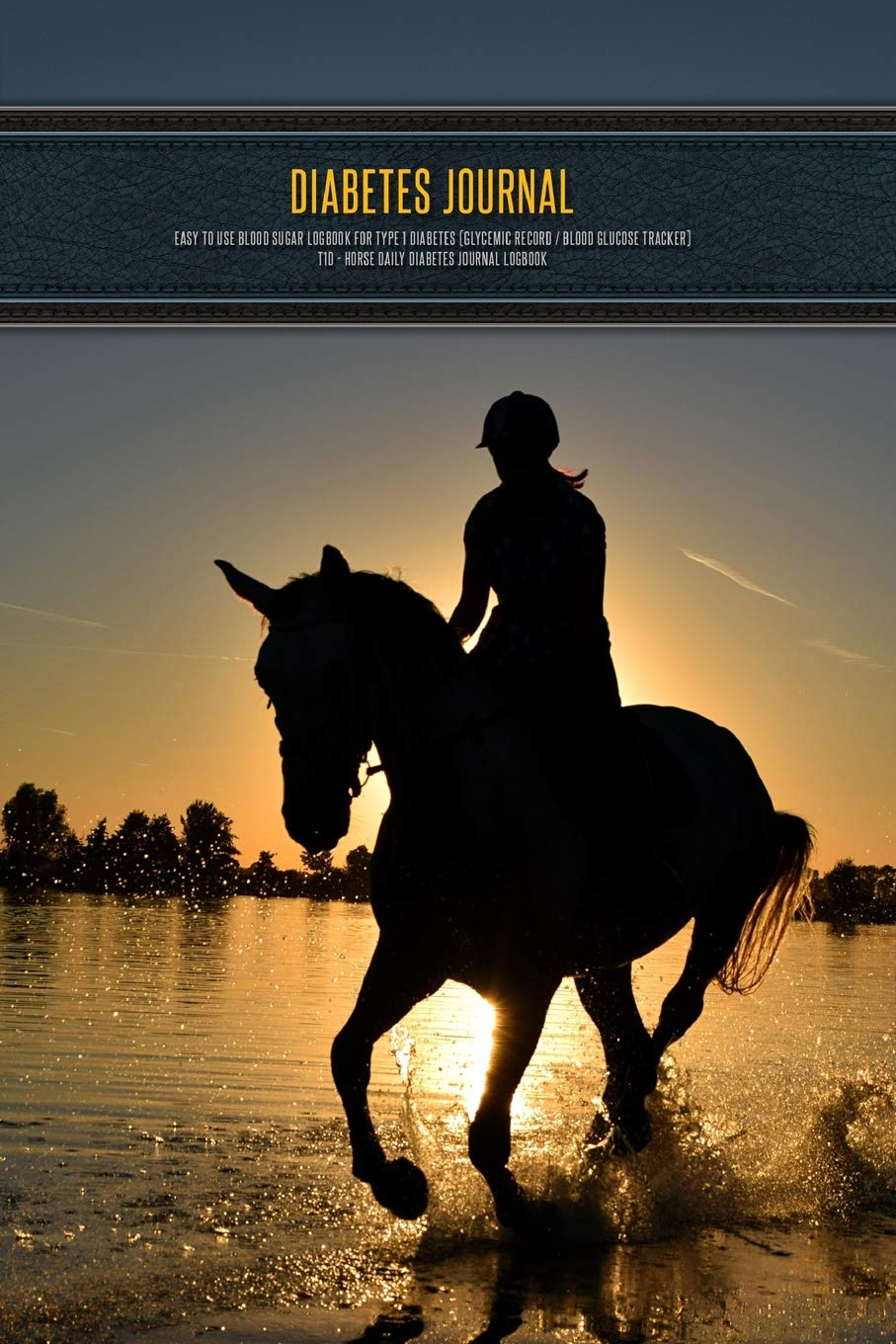 Diabetes Journal - Easy to Use Blood Sugar Logbook for Type 1 Diabetes (Glycemic Record / Blood Glucose Tracker) T1D - Horse Daily Diabetes Journal Logbook