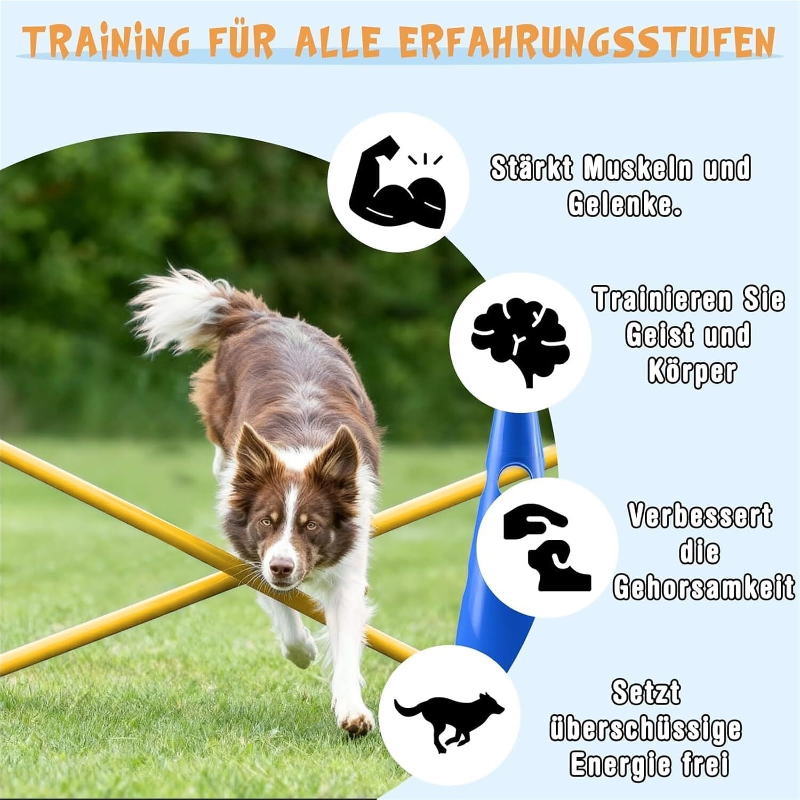 Genérico Juego De Entrenamiento De Agilidad for Perros De 23 Cm | Equipo completo de agilidad for perros, 8 conos, 8 postes y saltos ajustables for uso en interiores y exteriores