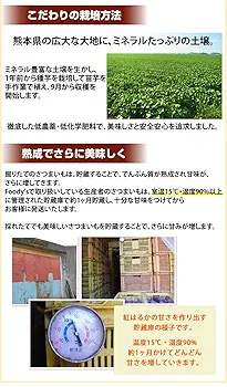 Amazon.co.jp: さつまいも 紅はるか 訳あり 10kg 箱込（内容量