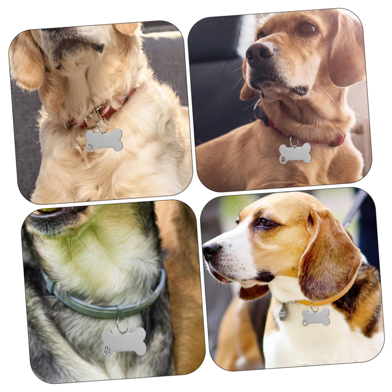 Sosoport 30stücke Edelstahl Hundemarken Mit Pfotenmotiv Personalisierbar Für Hunde Katzen Und Welpen Schutz Vor Verlust Stylisches Design