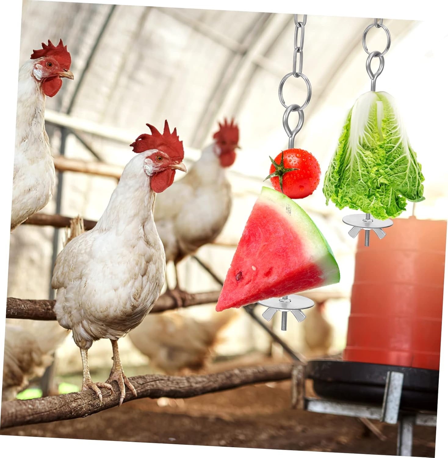 LIOOBO Adjustable Length Chicken Hanging Feeder Toys Veggies Skewer Fruit Holder Chain 8 Lbs Capacity for Chickens