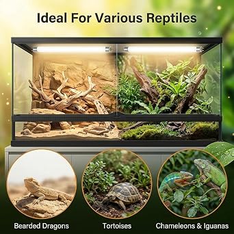 8W T5 UVB Light 10.0 UVA Terrarium Hood Bulb(300mm/12 Inch) Provides Full Spectrum G5 2-Pin Strip Lights Fittings for Vivarium Bearded Dragons Tortoises Lizards Chameleons Desert Reptiles 2 Pack