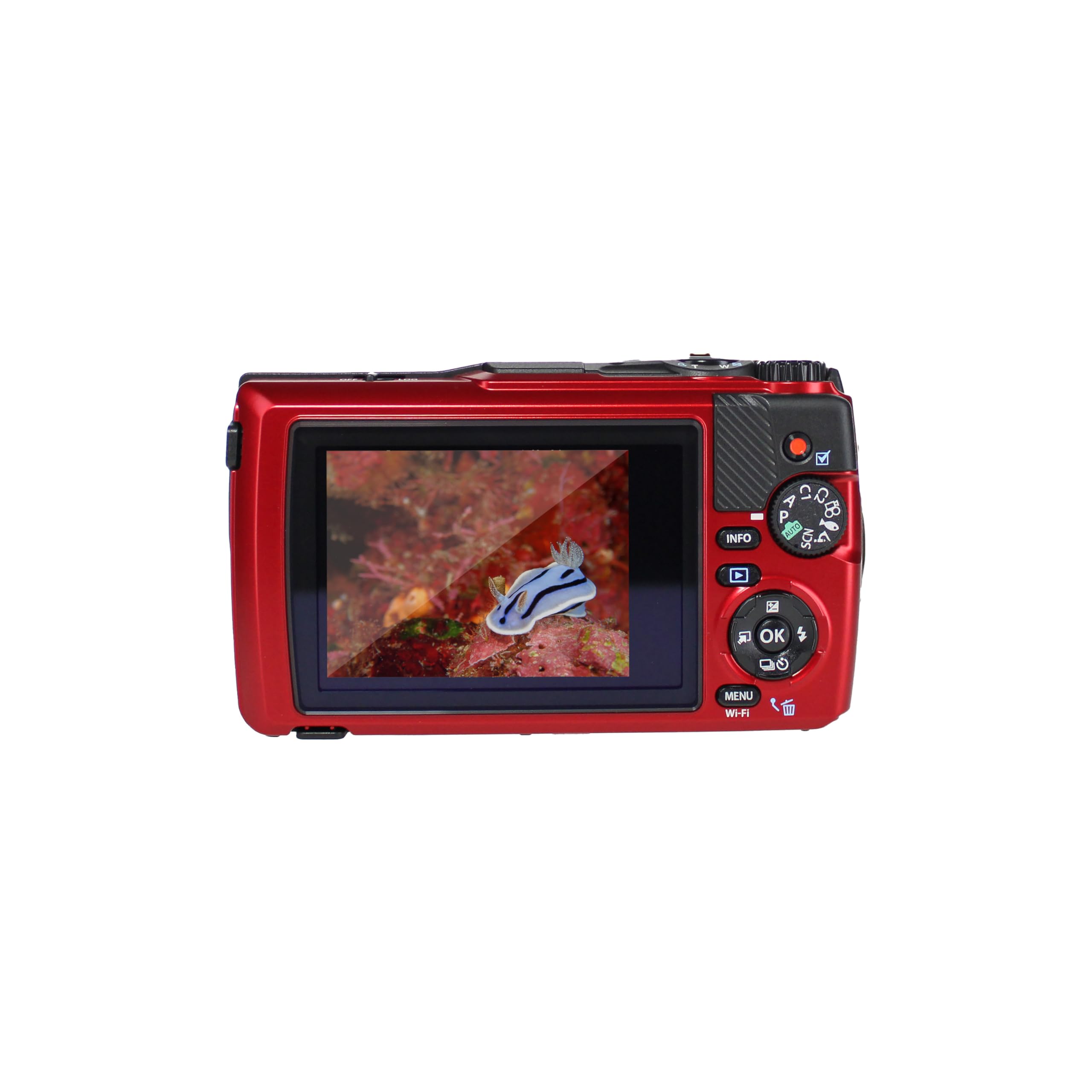 OM SYSTEM TG-7 ・レッド OM System Tough TG-7 Camera - Red — Glazer's Camera