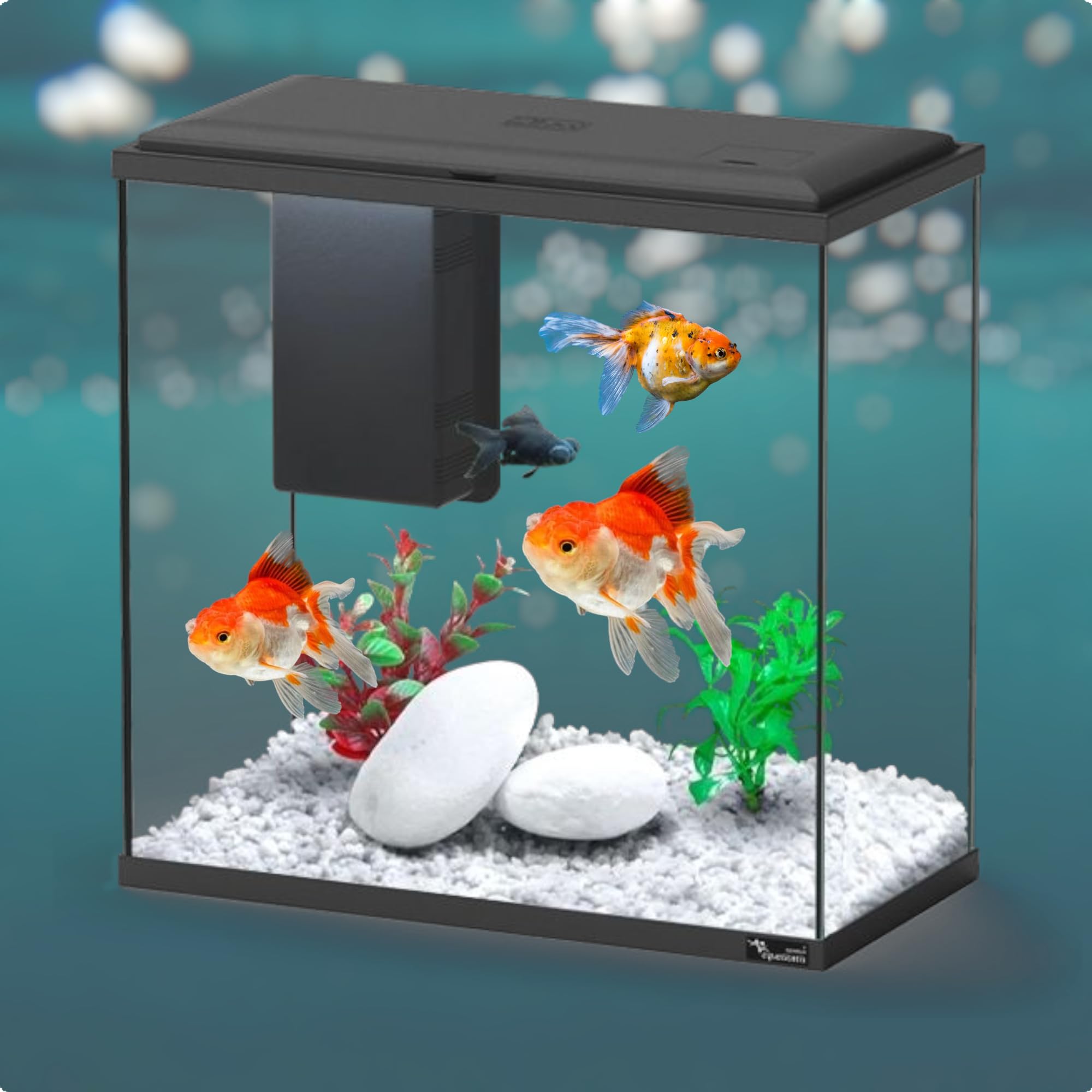 Love Aquatics 34L Aquarium Set with Filter and LED Light