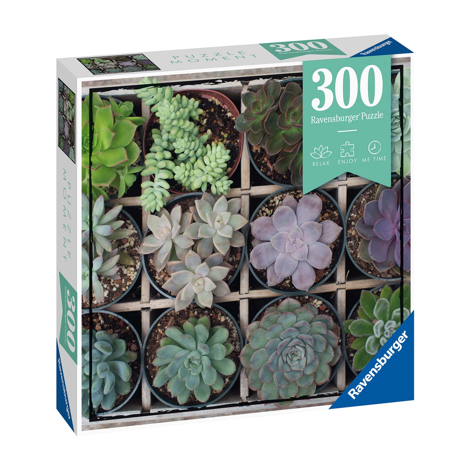 Ravensburger Green Adult Puzzle 300 Pieces