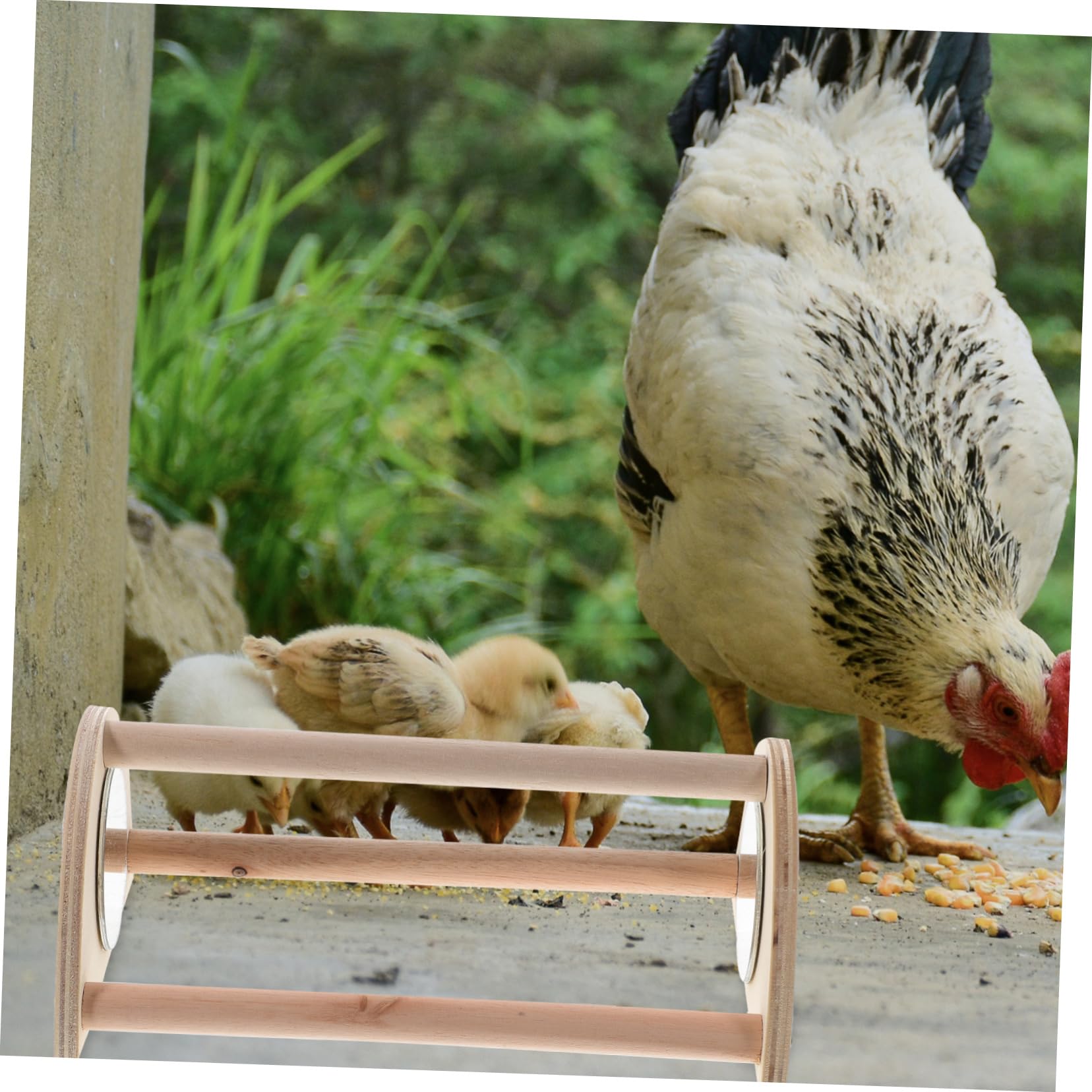 CIYODO Chick Perch Roosting Stand Sturdy Standing Bar for Chickens Easy to Assemble Coop for Training and Fun Suitable for Various Bird Breeds