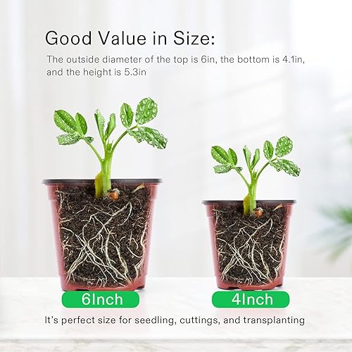 Miniatura 4 de VIVOSUN 50 macetas de 6 pulgadas, macetas de plástico para plántulas de flores