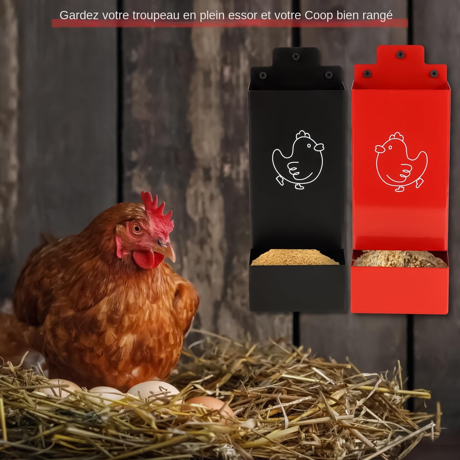 Mangiatoia per Grit e Gusci di Ostrica Mangiatoia Automatica A Truogolo Per