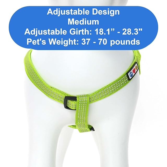 Foto 4 de 8 de Pawtitas Arnés ajustable reflectante para perro mediano, tanto para cachorro como para perro mayor, S, Verde