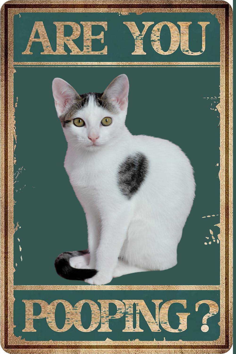 Kwqdozf As Pic Cat Are You Pooping Poster Funny Cat Bathroom Toilet Restroom Art Print Wal
