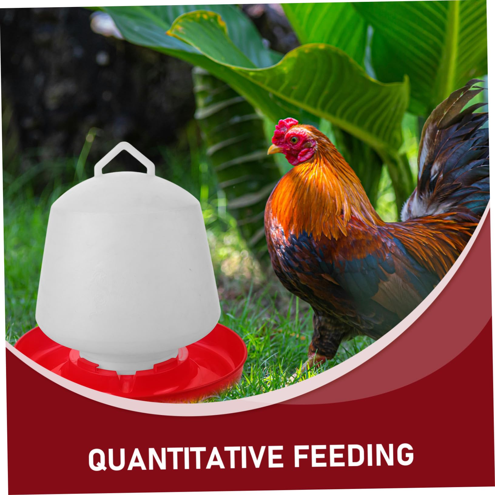 Hemobllo Mangiatoia Per Pollame e Pulcini in Plastica Resistente, Contenitore Riutilizzabile Per Cibo e Acqua, Adatta Per Galline, Anatre e Piccioni, Per Pollai Domestici e Uso Professionale