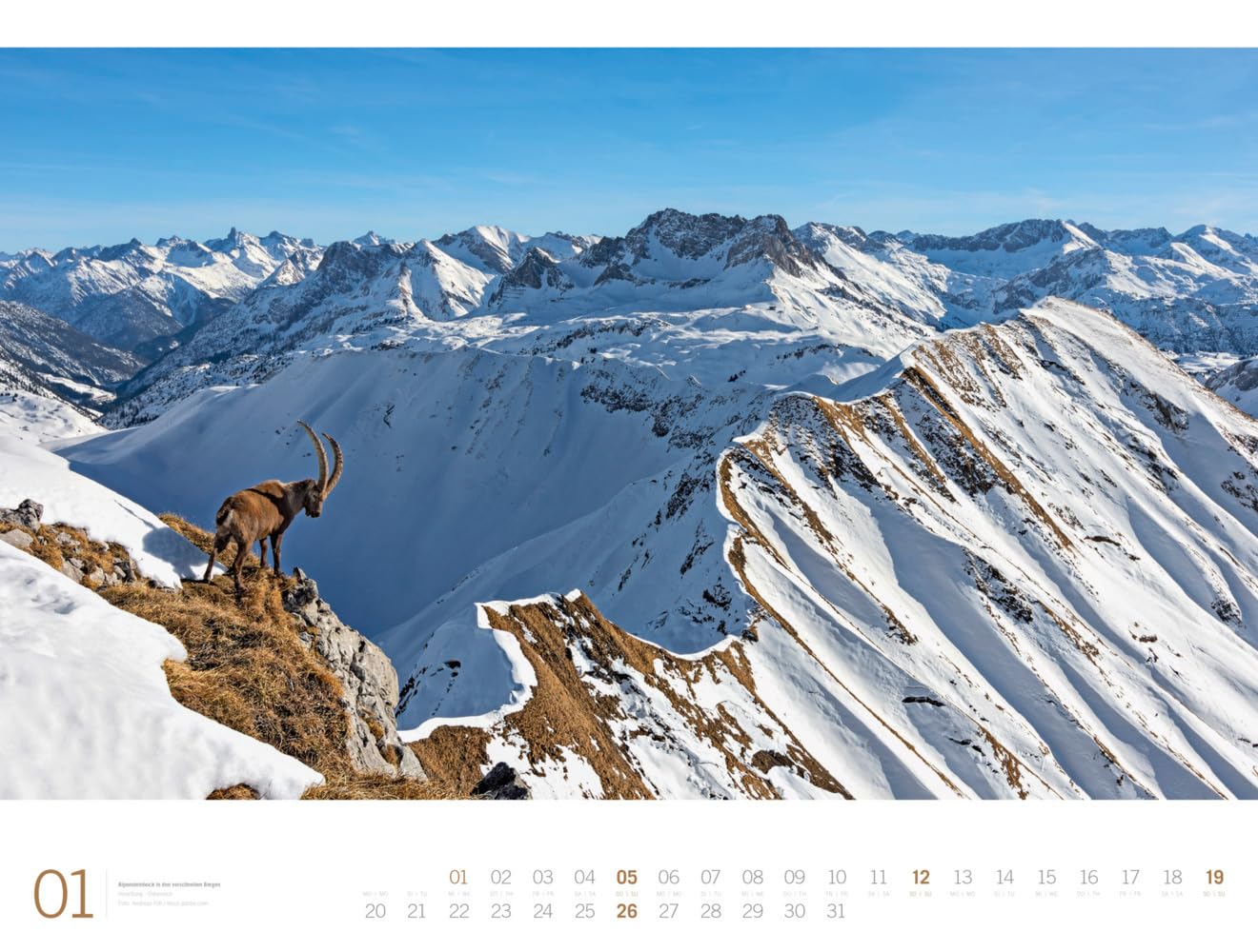 Alpen - Ackermann Gallery Kalender 2025, Wandkalender im Querformat (66x50 cm) - Großformat-Kalender / Hochwertiger Panorama-Kalender Berge und Natur