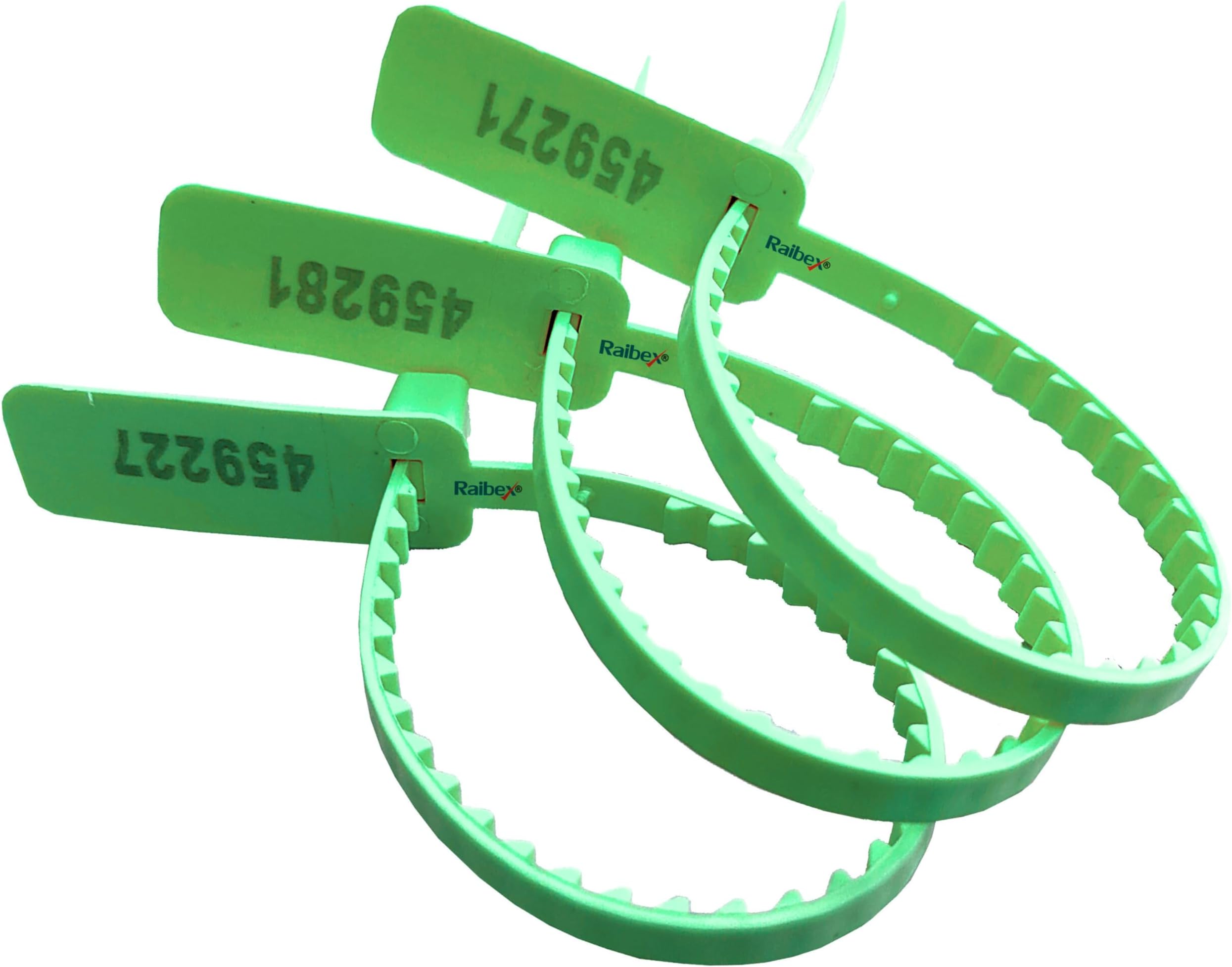 RAIBEX® Container Seal Tag Security Seals Courier Tag Small Size Safety Grip Seal Pull Tight Seal (Size 10" L) 100 PCS (Green)