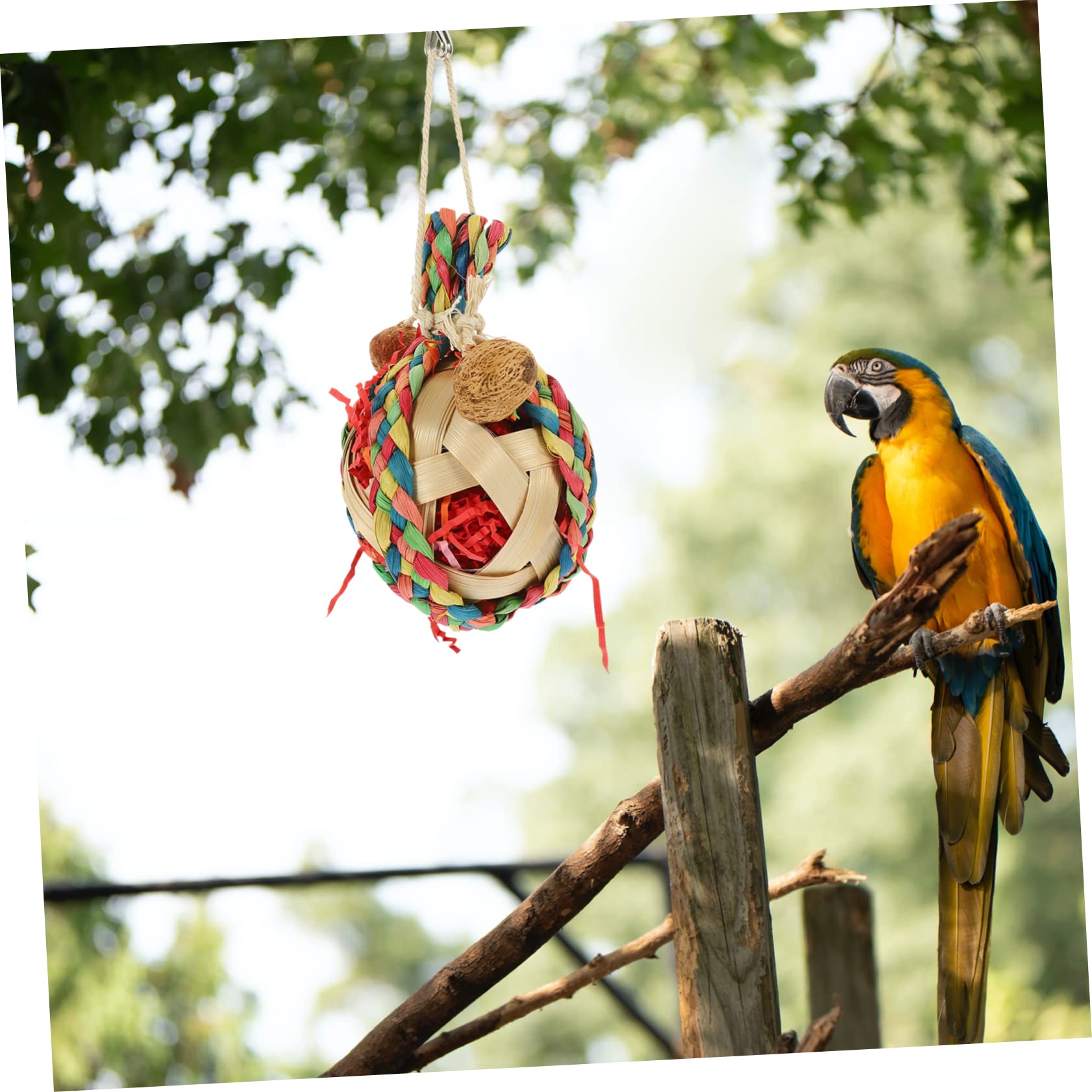 Yardwe 5piezas Juguete Colgante para Periquitos y Aves Accesorio De Jaula De Natural Juguete De Masticar para Pájaros para Mantener Entretenidas