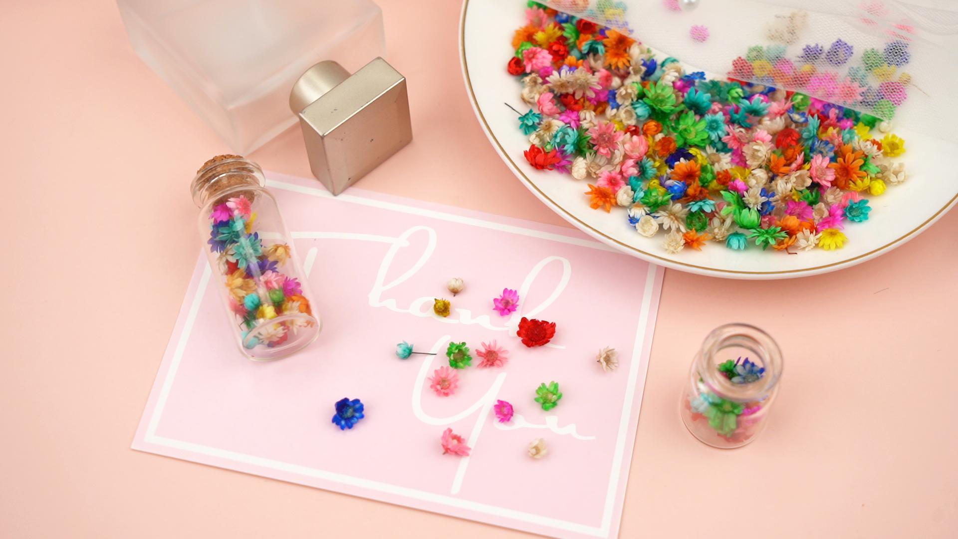280 flores secas pequeñas para manualidades y resinados miniatura 7