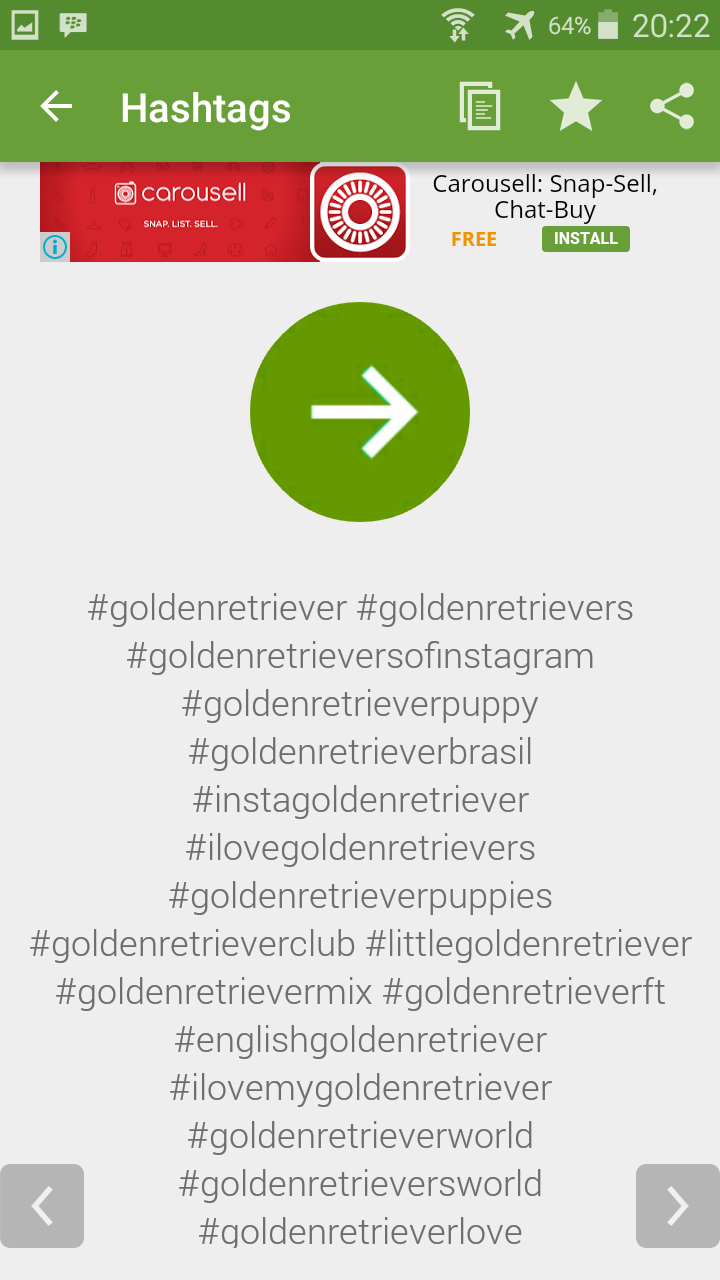 Top Best Hashtag for Animal and Pet Lover for Instagram, Twitter