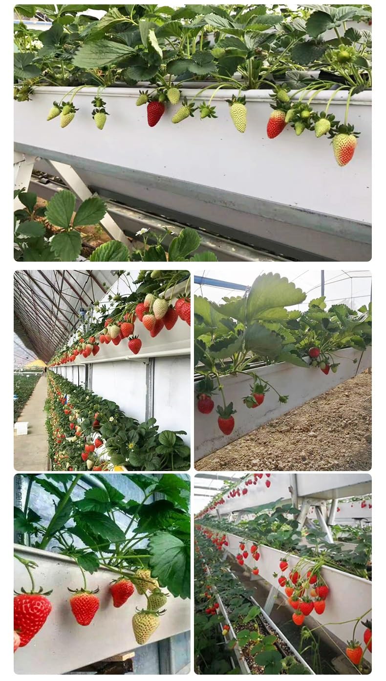 Réservoirs De Floriculture en Forme De V, Pots De Plantes, Conteneurs De Plantation Professionnels, Peuvent Être Épissés en Longueur, 1 Mètre De Long