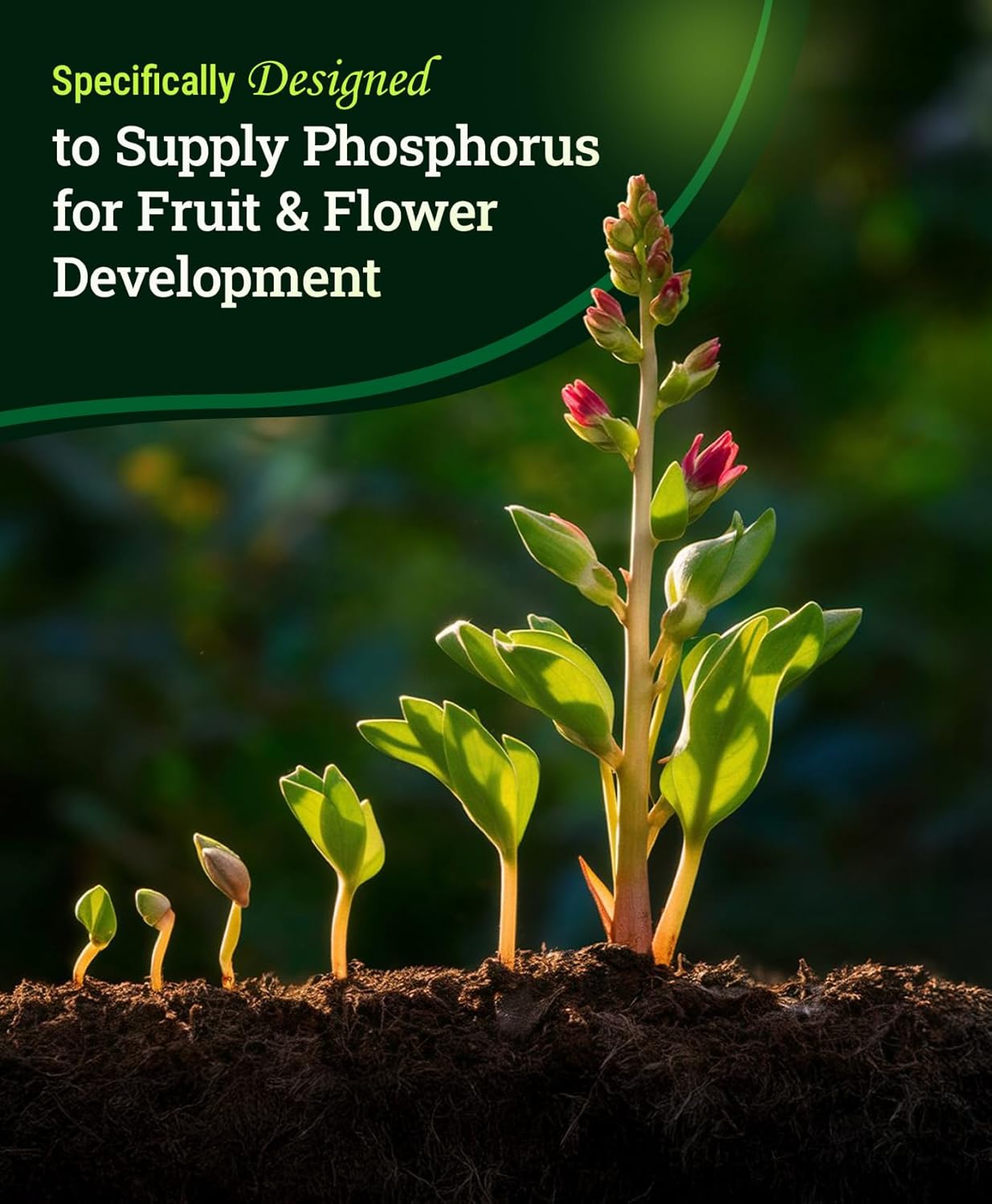 FoxFarm Happy Frog Fruit & Flower Fertilizer - Supports Abundant Fruit & Flowering - Nitrogen for Sustained Growth - Mycorrhizal Fungi - OMRI Listed - 4lb, Pack of 2