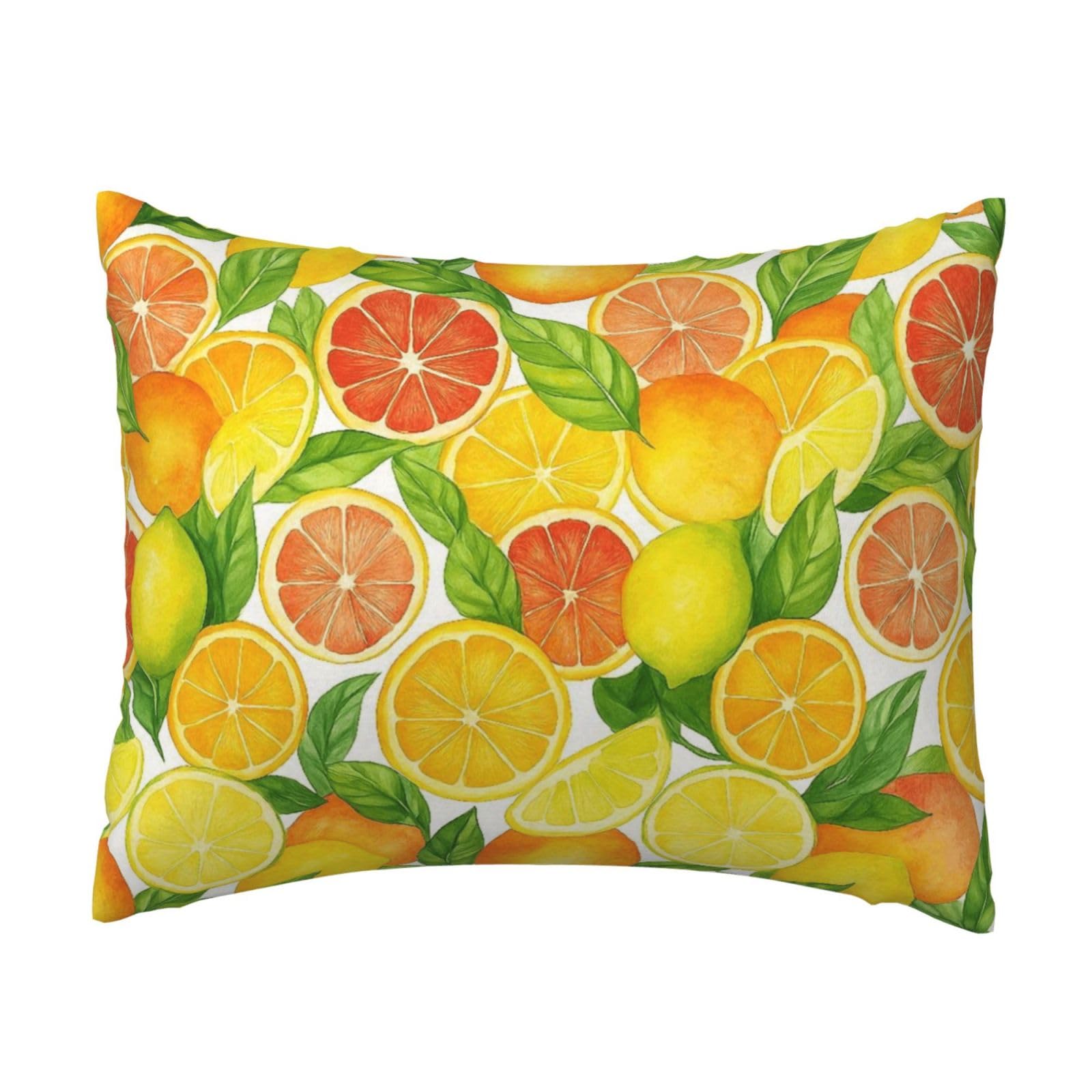 Lemon, Orange and Leaf Pillowcase Soft Plush with Zipper Decorative Pillowcovers 16x20 in
