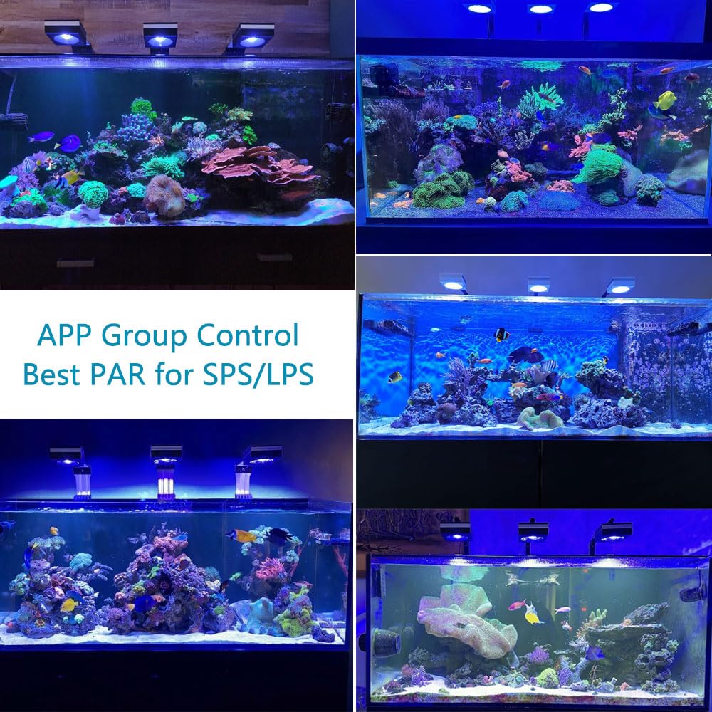 PopBloom RL115 WiFi LED Acquario Marino 120W, Lampada Acquario Marino a Spettro Completo per acquario di pesci SPS/LPS, L'APP supporta l'italiano