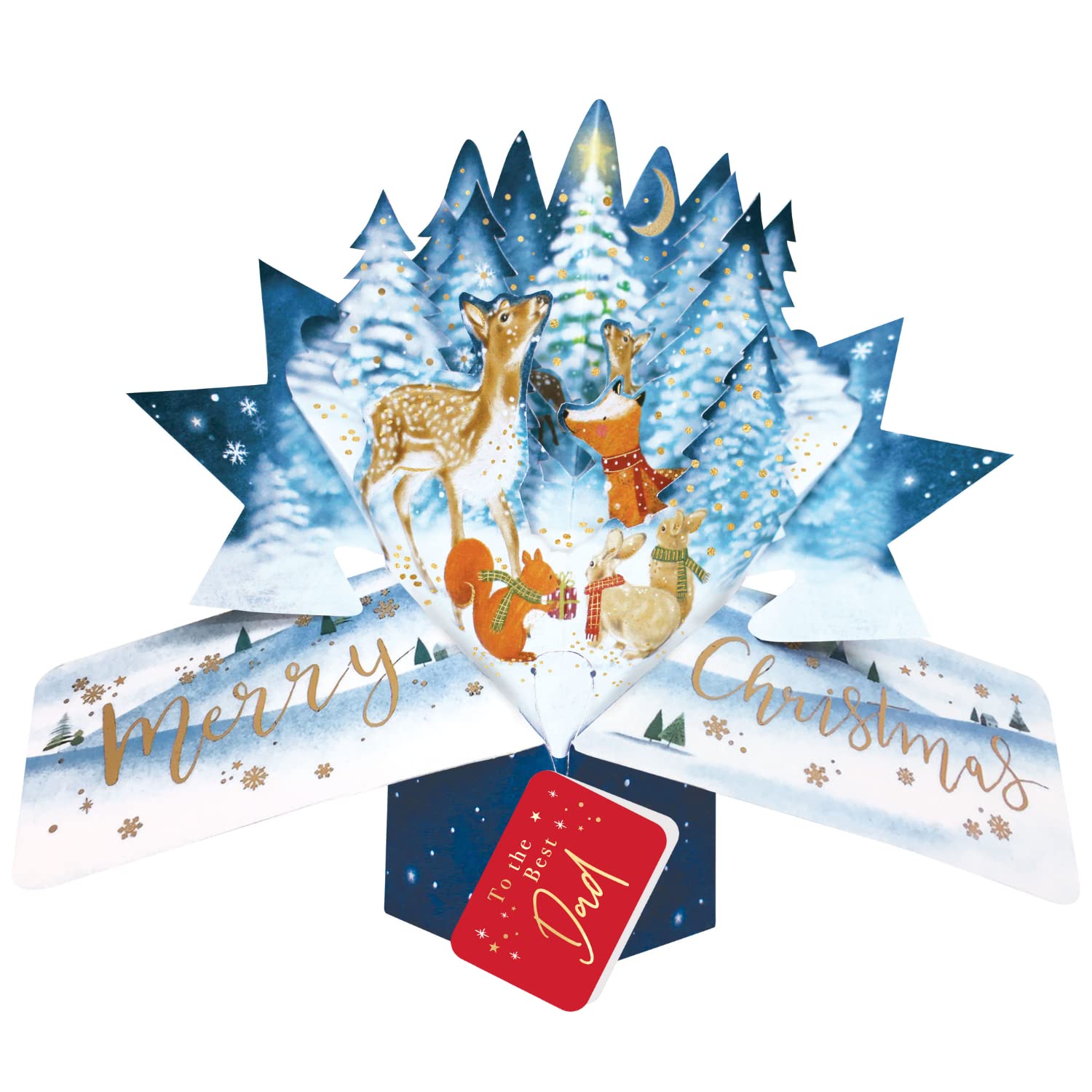 Dad Christmas Card 3D Woodland Animals Pop Up Christmas Card Xmas Greeting Cards POP064X03
