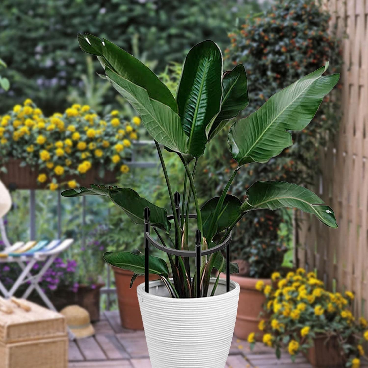 全国どこでも送料無料 植物支柱 花ささえ スライド支柱 観葉支柱 花支柱 ガーデニング用支柱 つる性植物 花支えガーデンアーチ ローズアーチ 植物サポート 観葉植物 トレリス 組み立て簡単 オベリスク ガーデニング フラワー 園芸植物登山トレリス フラワー支柱 全国どこでも送料無料 植物支柱 花ささえ スライド支柱 観葉支柱 花支柱 ガーデニング用支柱 つる性植物 花支えガーデンアーチ ローズアーチ 植物サポート 観葉植物 トレリス 組み立て簡単 オベリスク ガーデニング フラワー 園芸植物登山トレリス フラワー支柱