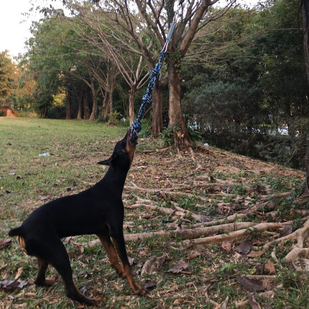 Corda Giocattolo per Cani, Giocattolo per Cani tiro alla Fune Giocattolo Molla all'aperto Appeso Esercizio Corda Corda da Masticare Giocattolo con Una Corda